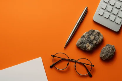 Previous Article Image