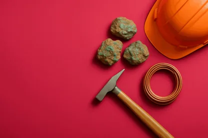 Previous Article Image