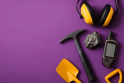 Previous Article Image