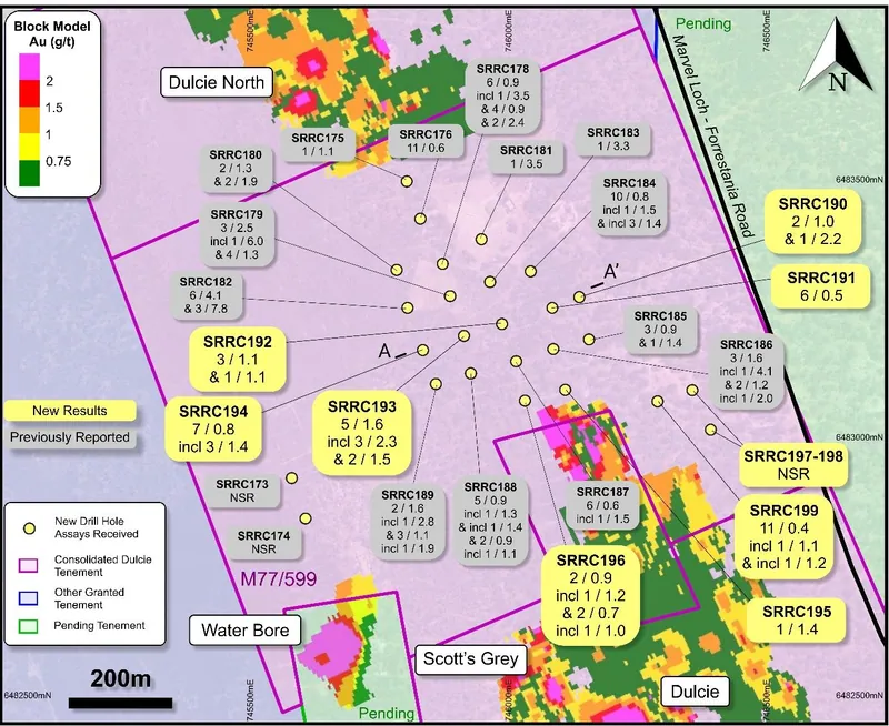 Plan view of the Dulcie Central corridor on M77/599, showing completed drill holes and significant intercepts (interval in metres / grade in g/t Au), over the…