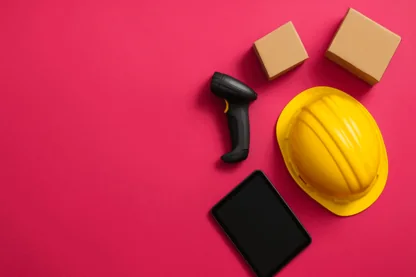 Previous Article Image