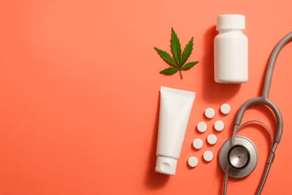 Previous Article Image