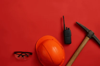 Previous Article Image