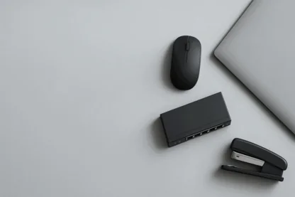 Previous Article Image