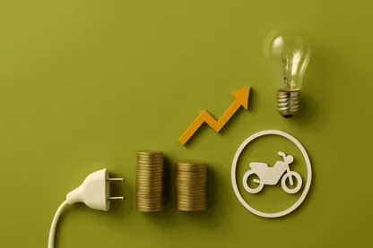 Previous Article Image