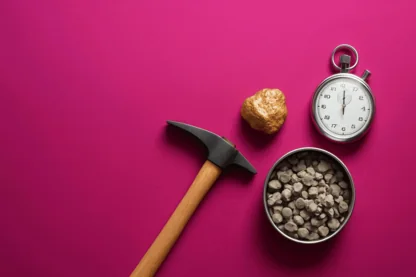 Previous Article Image