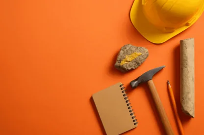 Previous Article Image