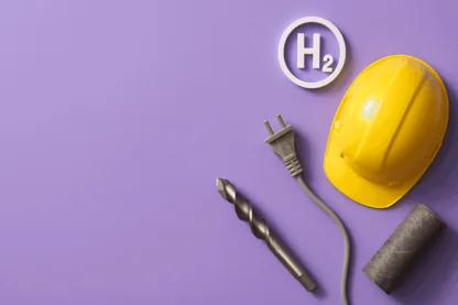 Previous Article Image