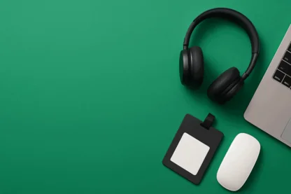 Previous Article Image