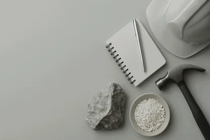 Previous Article Image