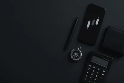 Previous Article Image