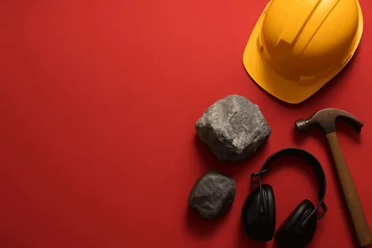 Previous Article Image