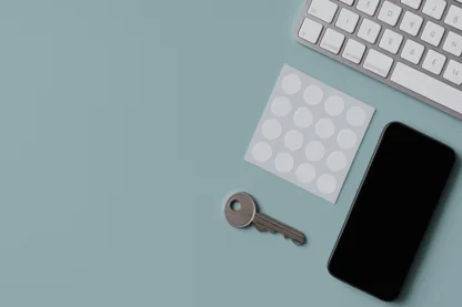 Previous Article Image