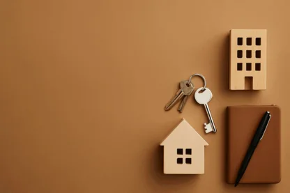 Previous Article Image