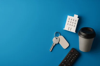 Previous Article Image