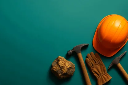 Previous Article Image