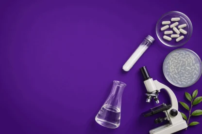 Previous Article Image