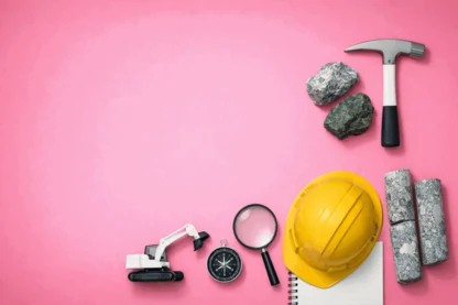 Previous Article Image