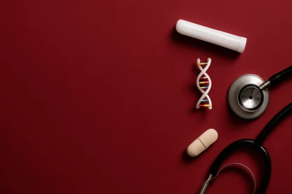 Previous Article Image