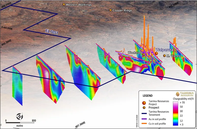 Diagram from Tarrina Resources Limited’s announcement “Quarterly Activities/Appendix 5B Cash Flow Report”