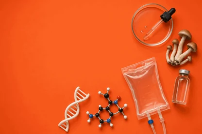 Previous Article Image