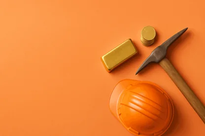 Previous Article Image