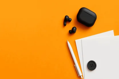 Previous Article Image