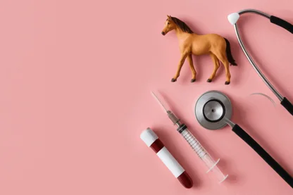 How Proteomics International’s OxiDx Test Revolutionises Racehorse Muscle Recovery