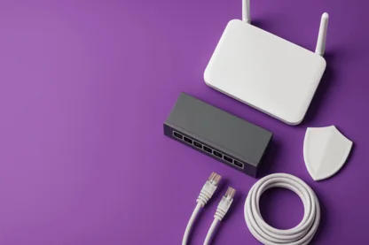 Previous Article Image