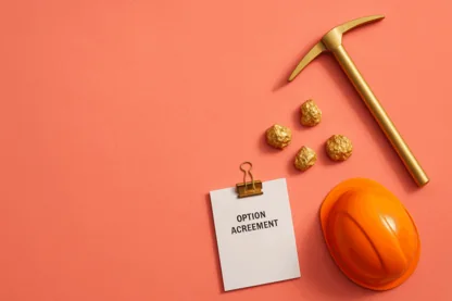 Previous Article Image