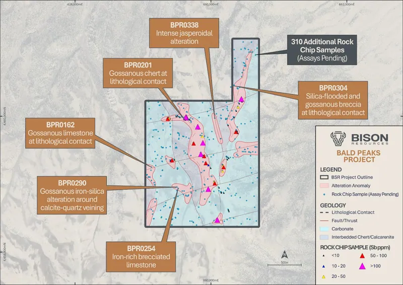 Topographic map of the Bald Peaks Project showing received assay results of surface samples (coded by Sb ppm) and recently collected surface samples (blue circ…