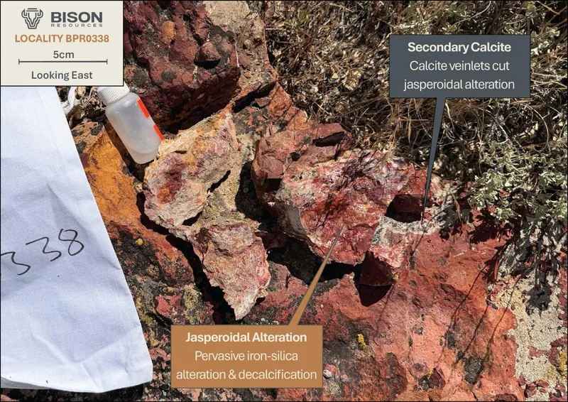 Close-up example of pervasive iron-silica (jasperoidal) alteration and decalcification, with secondary calcite veining at sample locality BPR03386