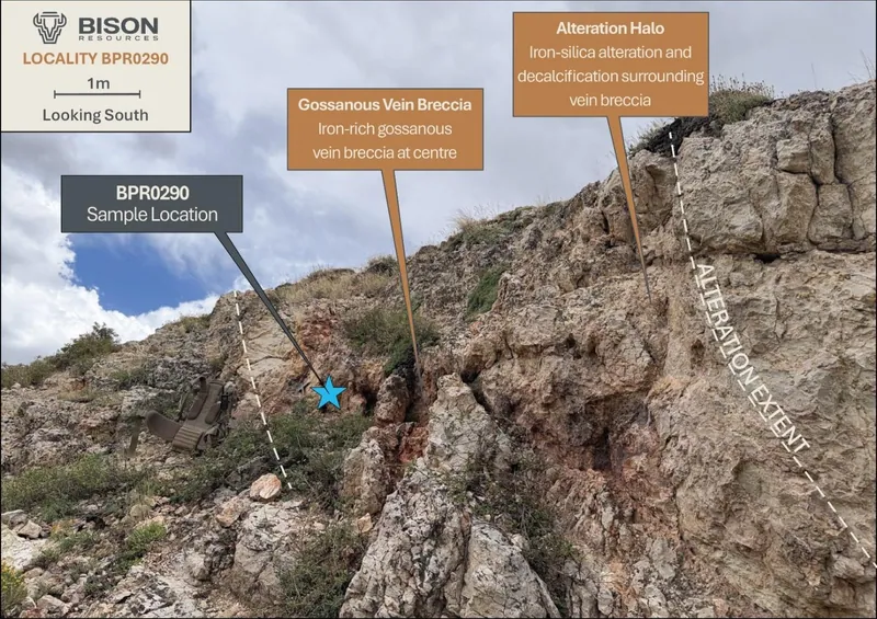 Example of a gossanous vein breccia and surrounding weak silica alteration and decalcification at sample locality BPR02907