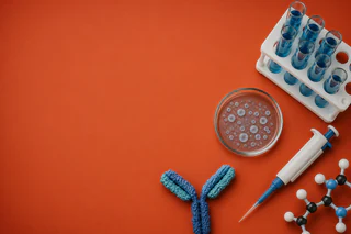 Healthcare Wrap