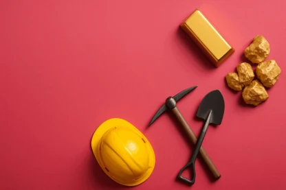 Previous Article Image