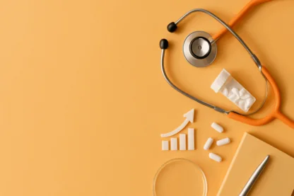 Previous Article Image