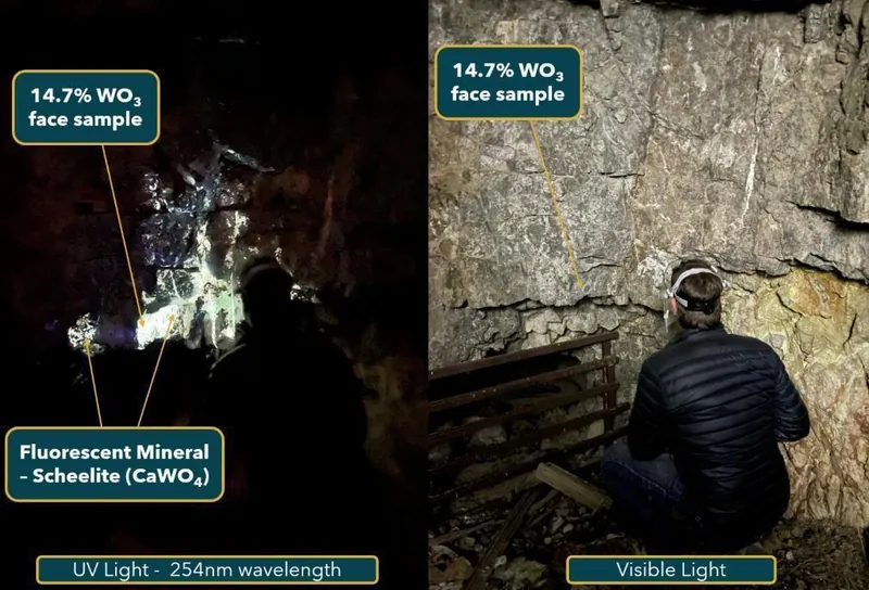 Face sample LKGB0005 from the Conquest Pit which assayed 14.7% WO₃, with scheelite fluorescing under UV light