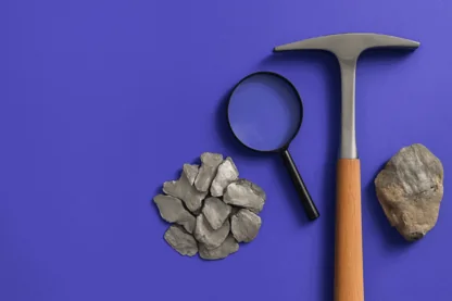 Previous Article Image