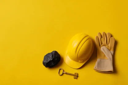 Previous Article Image