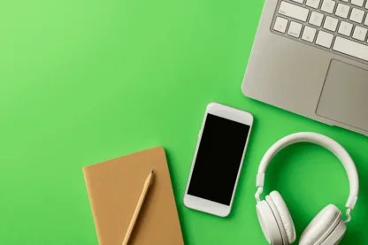 Previous Article Image