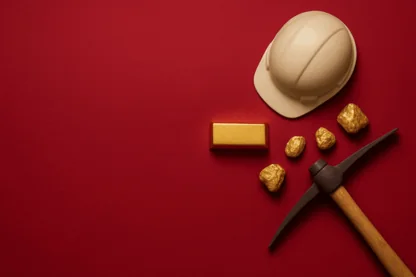 Previous Article Image