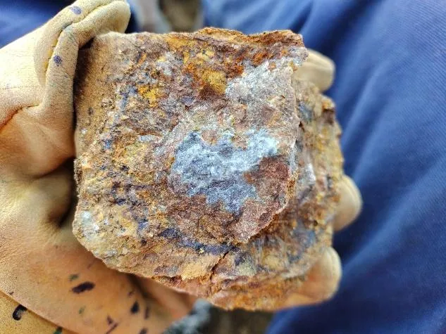 Hand sample of epithermal banded quartz and barite. Figure 3d: Oxidised epithermal vein of quartz + galena @ 66 g/t Ag. Toro Hosco Central