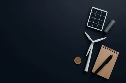 Previous Article Image