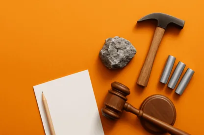 Previous Article Image