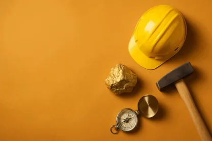 Previous Article Image