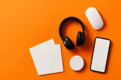 Previous Article Image