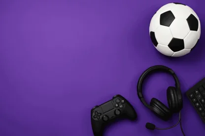 Previous Article Image