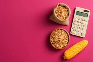 GrainCorp Boosts FY25 Outlook on Strong 1H25 Performance and Rising Dividends
