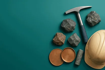 Previous Article Image