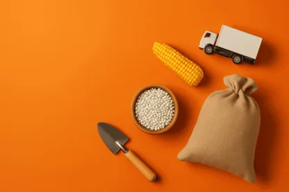 Previous Article Image